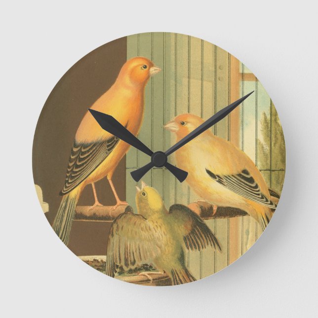 London Fancy Canaries - vintage birds Round Clock (Front)