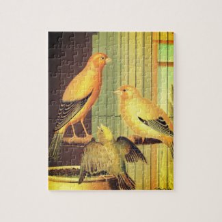 London Fancy Canaries -vintage illustration