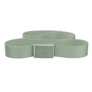 London Frost Muted Green Solid Color Print, Belt