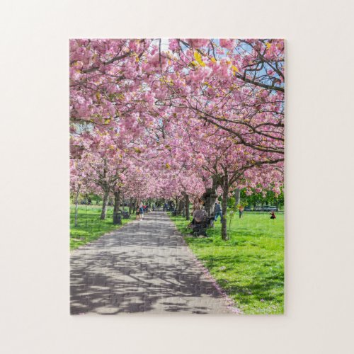 London Greenwich Park cherry blossom puzzle