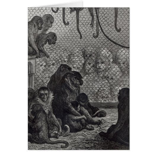 London' Monkeys Cards (Front)