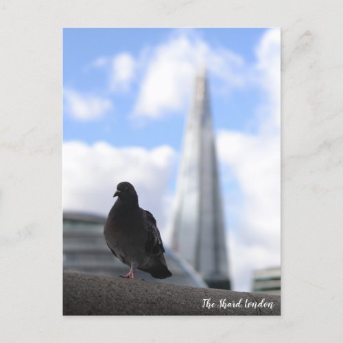 London Pigeon with View of the Shard in Backgroud Postcard