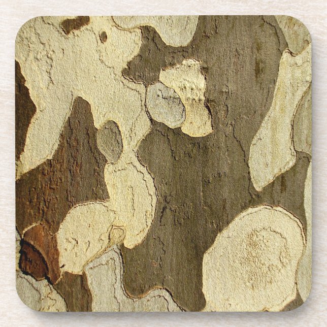 London Plane Tree Bark Hard Plastic Coasters (Front)