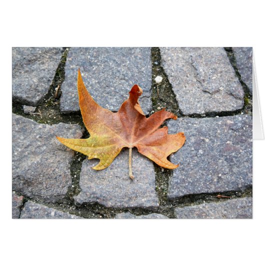 London Plane Tree Leaf Cards (Front Horizontal)