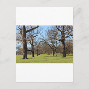 London Postcard
