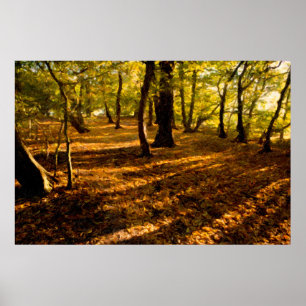 London Woods Poster