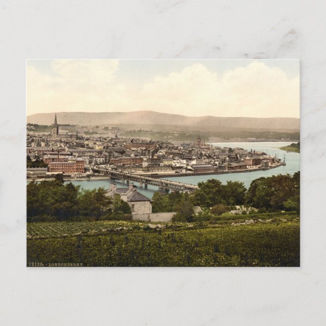 Londonderry, County Limerick Postcard (Front)