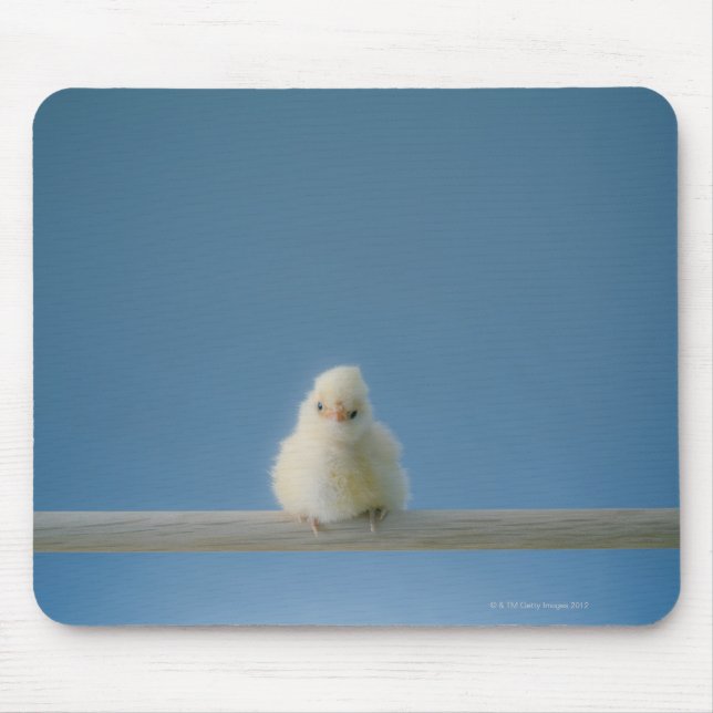 Lone Baby Pet Chicken Sitting on a Perch Mouse Pad (Front)