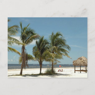 Lone Beach At Fort Myers Beach Florida Postcard