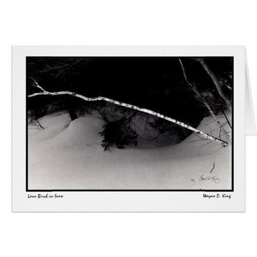 Lone Birch in Snow Cards (Front Horizontal)