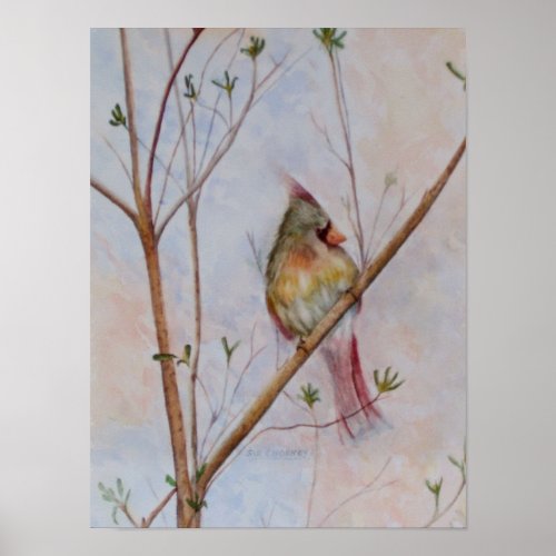 Lone Bird on a Tree Branch Poster