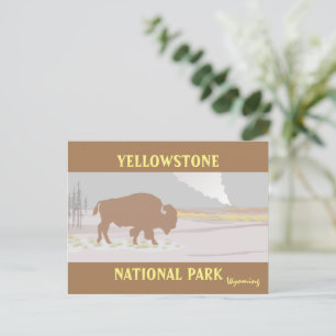 Lone Bison in Yellowstone National Park Postcard