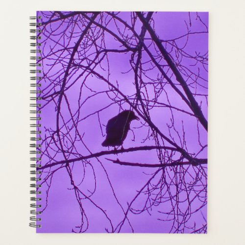 Lone Black Crow Silhouette in Trees Purple Sky Planner