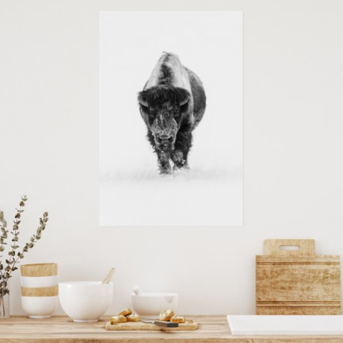 Lone Bull Bison On A Snowy Road Black And White Poster