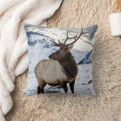 Lone Bull Elk in Snow  Yellowstone National Park Throw Pillow