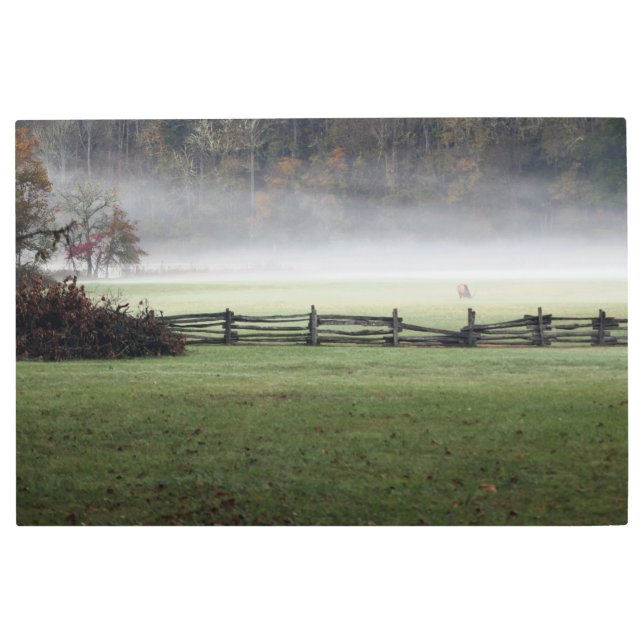 Lone Bull Elk in the morning Mist Metal Print (Front)