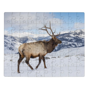 Lone Bull Elk   Yellowstone National Park Jigsaw Puzzle