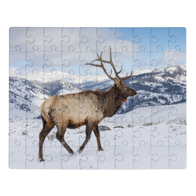 Lone Bull Elk | Yellowstone National Park Jigsaw Puzzle (Puzzle Horizontal)