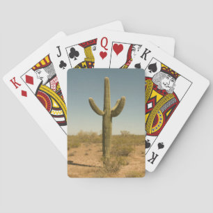 Lone Cactus Poker Cards