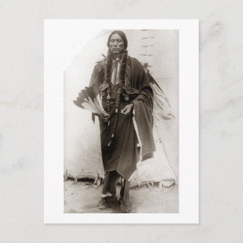 Lone Comanche Postcard