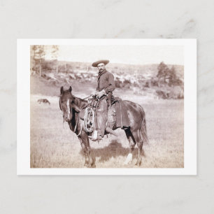 Lone Cowboy Postcard