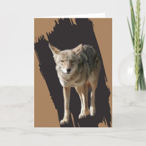 Lone Coyote Holiday Card