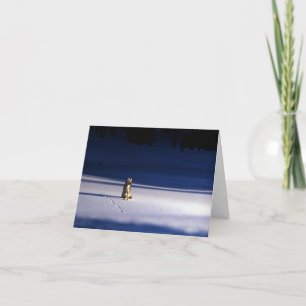 Lone Coyote in Snow, Yellowstone National Park Holiday Card