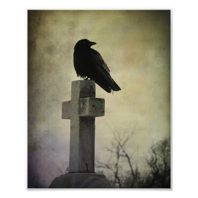 Lone Crow On A Cross Photo Print (Front)