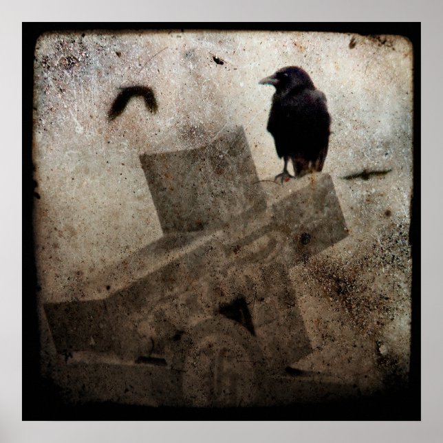 Lone Crow Poster (Front)