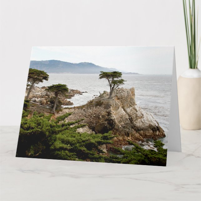 LONE CYPRESS Jumbo Greeting Card (Front)