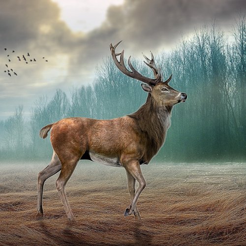 Lone Deer In Misty Forest   iPhone 87 Wallet Case