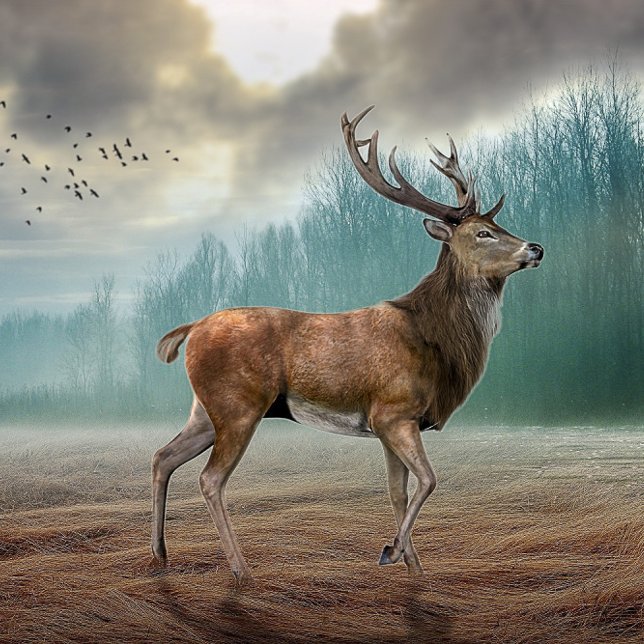 Lone Deer In Misty Forest       Pocket Watch (Creator Uploaded)