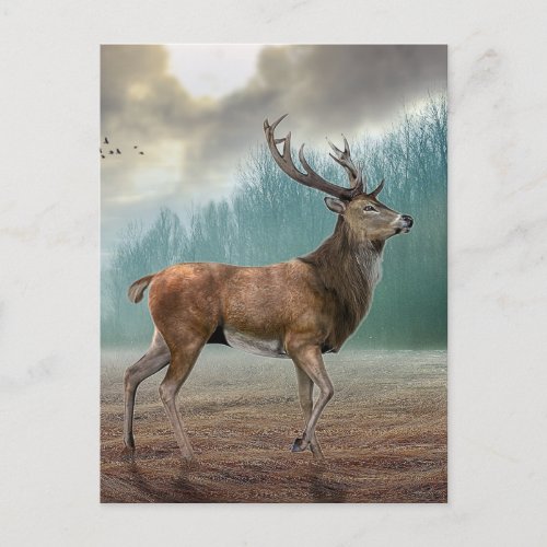 Lone Deer In Misty Forest       Postcard