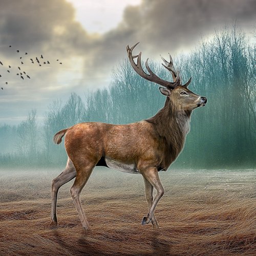Lone Deer In Misty Forest   Silver Finish Tie Bar
