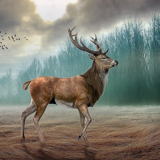 Lone Deer In Misty Forest    Throw Pillow (Creator Uploaded)