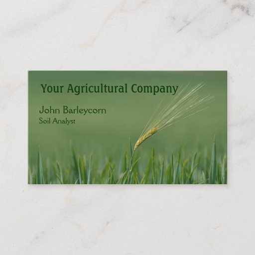 Customizable Barley business card template