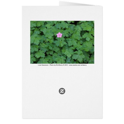 Lone Geranium (Back)