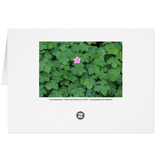 Lone Geranium (Back Horizontal)