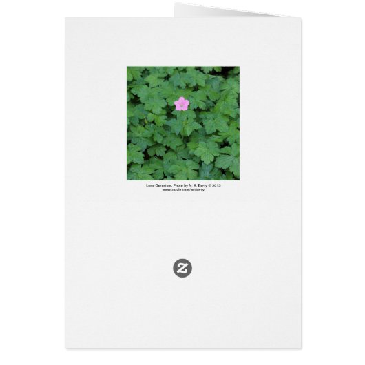 Lone Geranium (Back)