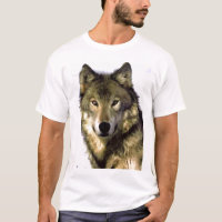 Lone Grey Wolf Look - Leadership Motivational
