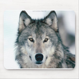Lone grey wolf mousepad