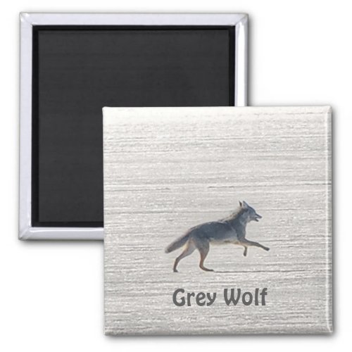 Lone Grey Wolf Running on A Frozen Lake Magnet