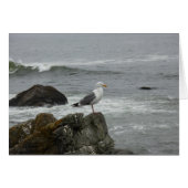 Lone gull (Front Horizontal)