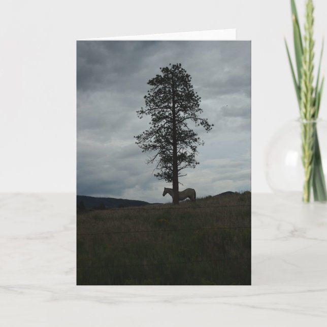 Lone Horse at Sunset Note Card (Front)