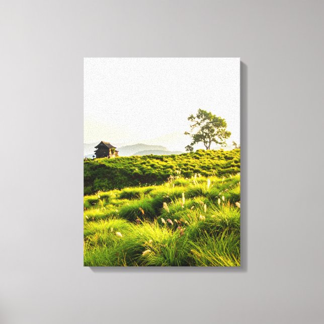 Lone house and lone tree canvas print (Front)