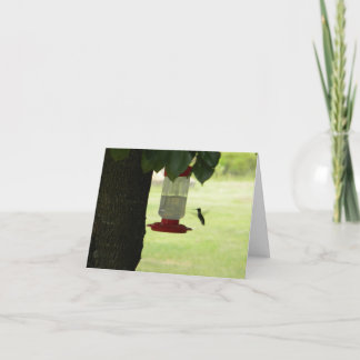 Lone Hummingbird Card