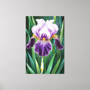 *~* Lone Iris Flower Artsy Iris Painting AP84 Canvas Print