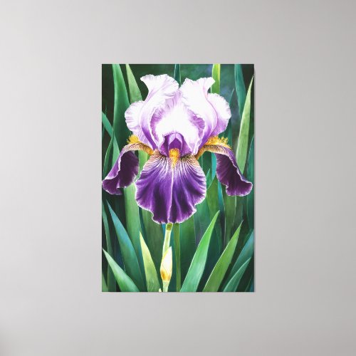  Lone Iris  Flower Artsy Iris Painting AP84 Canvas Print