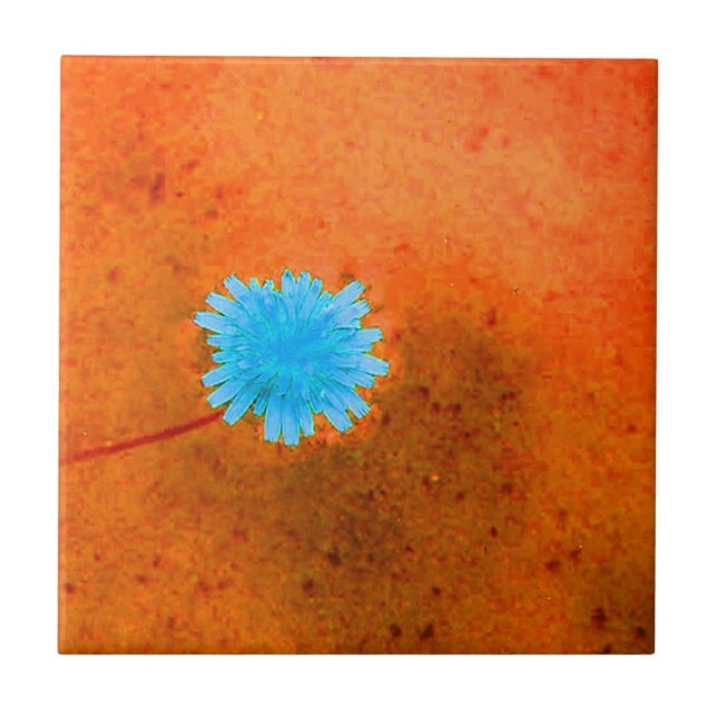 Lone Light Blue Flower Ceramic Tile (Front)