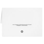 Lone Lily by the Sea (Back Horizontal)